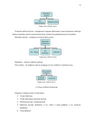 Naujo viešbučio veiklos projektas 15 puslapis