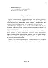 Naujo viešbučio veiklos projektas 18 puslapis