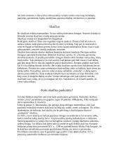 Matematikos mokslas 2 puslapis