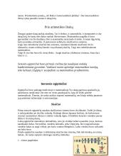 Matematikos mokslas 4 puslapis