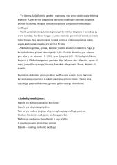 Metanolio ir etanolio neigiamas poveikis žmogaus organizmui 11 puslapis