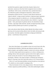 Metanolio ir etanolio neigiamas poveikis žmogaus organizmui 9 puslapis