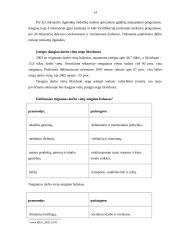 Nedarbo lygis Lietuvoj 13 puslapis