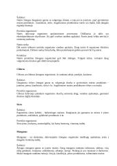 Mineralinės medžiagos 11 puslapis