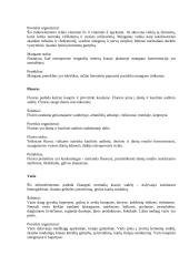 Mineralinės medžiagos 12 puslapis