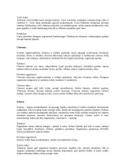 Mineralinės medžiagos 13 puslapis