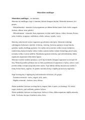 Mineralinės medžiagos 3 puslapis