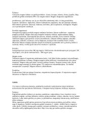 Mineralinės medžiagos 7 puslapis