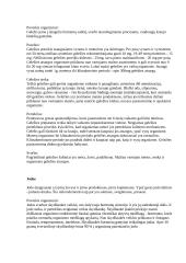 Mineralinės medžiagos 8 puslapis