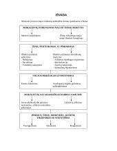 Mokymo proceso etapai 13 puslapis
