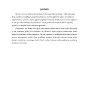 Mokymo proceso etapai 3 puslapis