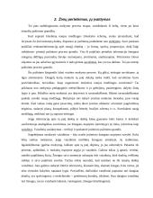 Mokymo proceso etapai 7 puslapis