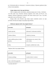 Nedarbo lygio Lietuvoje apžvalga 13 puslapis