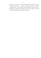 Nedarbo lygio Lietuvoje apžvalga 17 puslapis