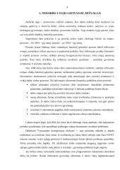 Nedarbo lygio Lietuvoje apžvalga 3 puslapis