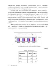 Nedarbo lygio Lietuvoje apžvalga 4 puslapis