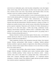 Mokytojo įvaizdis šiuolaikinėje visuomenėje 11 puslapis