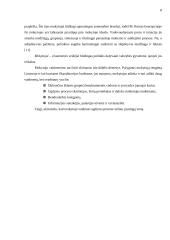 Mokytojo įvaizdis šiuolaikinėje visuomenėje 8 puslapis