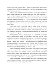 Neverbalinės kalbos svarba pradžios mokykloje 18 puslapis