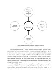 Neverbalinės kalbos svarba pradžios mokykloje 6 puslapis