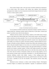 Neverbalinės kalbos svarba pradžios mokykloje 10 puslapis