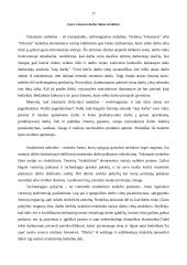 Nedarbas, jo priežastys ir raida Lietuvoje 17 puslapis