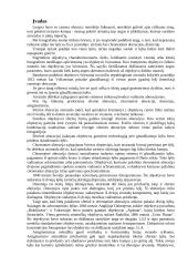 Objektyvų raida 2 puslapis