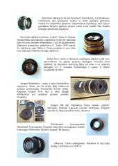 Objektyvų raida 7 puslapis