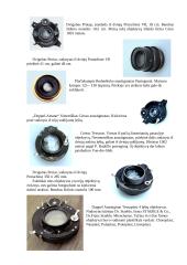 Objektyvų raida 8 puslapis