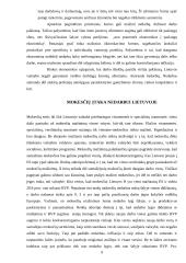 Nedarbo lygis Lietuvoje 9 puslapis