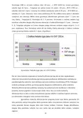 Nedarbo lygis Lietuvoje 10 puslapis