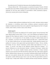 Nedarbo politika 13 puslapis