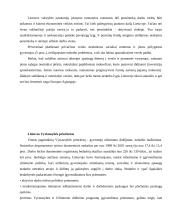 Nedarbo politika 16 puslapis