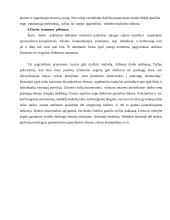 Nedarbo politika 6 puslapis