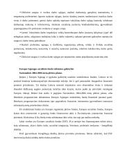 Nedarbo politika 8 puslapis