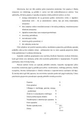 Pelno (nuostolių) ataskaita: tikslai, turinys ir pateikimo forma 11 puslapis