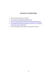 Pelno (nuostolių) ataskaita: tikslai, turinys ir pateikimo forma 14 puslapis