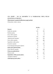 Pelno (nuostolių) ataskaita: tikslai, turinys ir pateikimo forma 16 puslapis