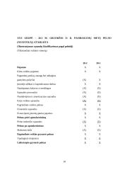 Pelno (nuostolių) ataskaita: tikslai, turinys ir pateikimo forma 17 puslapis