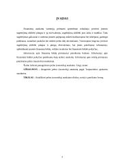 Pelno (nuostolių) ataskaita: tikslai, turinys ir pateikimo forma 2 puslapis