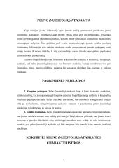 Pelno (nuostolių) ataskaita: tikslai, turinys ir pateikimo forma 3 puslapis