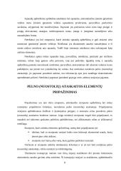 Pelno (nuostolių) ataskaita: tikslai, turinys ir pateikimo forma 7 puslapis