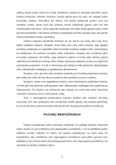 Pelno (nuostolių) ataskaita: tikslai, turinys ir pateikimo forma 8 puslapis