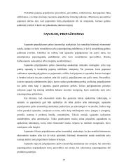 Pelno (nuostolių) ataskaita: tikslai, turinys ir pateikimo forma 9 puslapis