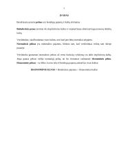 Pelno apskaičiavimas ir naudojimas 2 puslapis