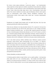 Pelno apskaičiavimas ir naudojimas 4 puslapis