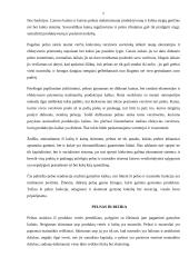 Pelno apskaičiavimas ir naudojimas 6 puslapis