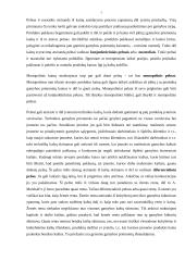 Pelno apskaičiavimas ir naudojimas 7 puslapis