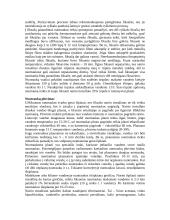 Pozityvinis procesas 4 puslapis