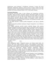 Pozityvinis procesas 5 puslapis